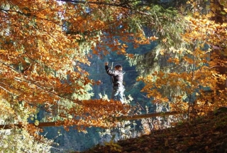 Parcours aventure dans les arbres pour les familles